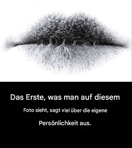 Was sehen Sie auf dem Bild? Die Antwort offenbart Ihre psychologische Natur.