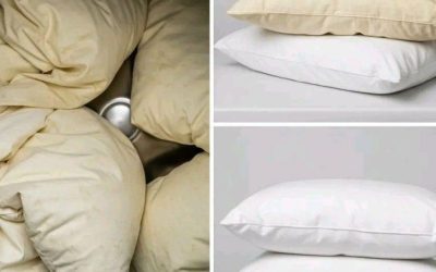 Hier sind die folgenden Tipps: 3 Tipps, wie Sie zu Hause bleiben können