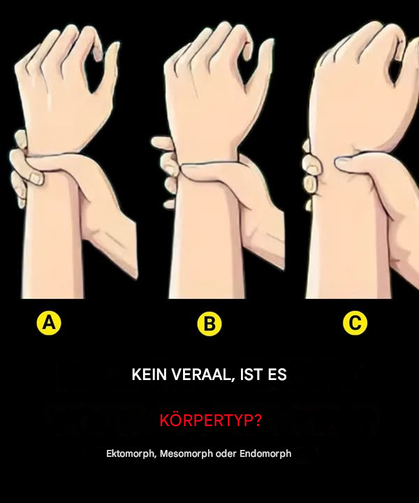 Körpertypen: Sind Sie ein Ektomorph, Mesomorph oder Endomorph?