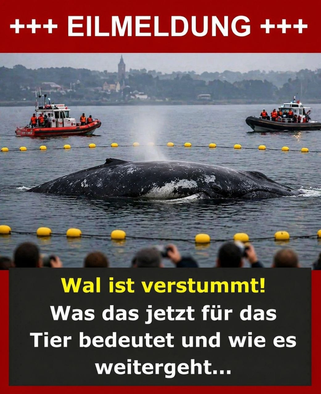 Es gibt traurige Gewissheit….. Was das jetzt für das Tier bedeutet