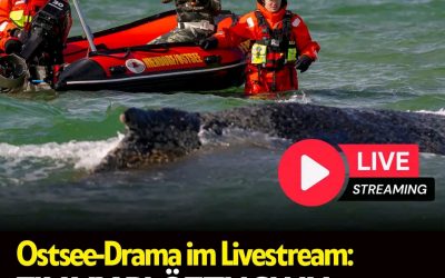 Das ist ein wahrer Krimi, der sich da im Livestream auftut.