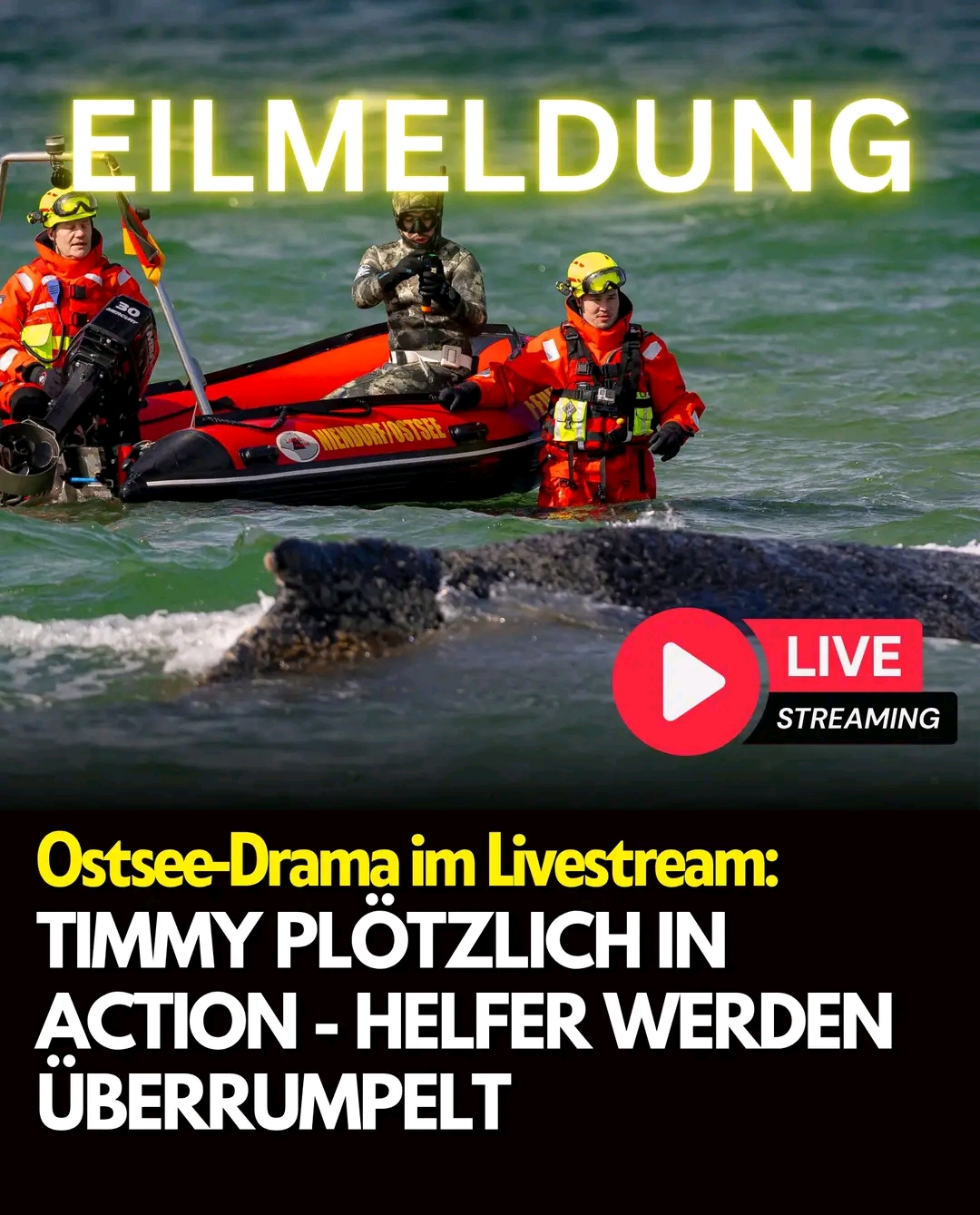 Das ist ein wahrer Krimi, der sich da im Livestream auftut.