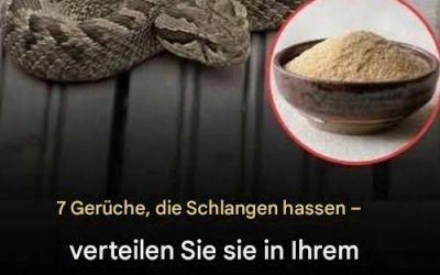 7 Gerüche, die Schlangen hassen, und wie Sie diese nutzen können, um die schleimigen Besucher von Ihrem Zuhause fernzuhalten