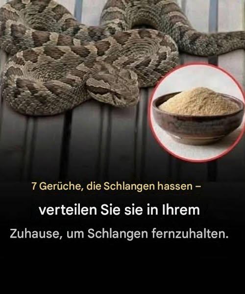 7 Gerüche, die Schlangen hassen, und wie Sie diese nutzen können, um die schleimigen Besucher von Ihrem Zuhause fernzuhalten