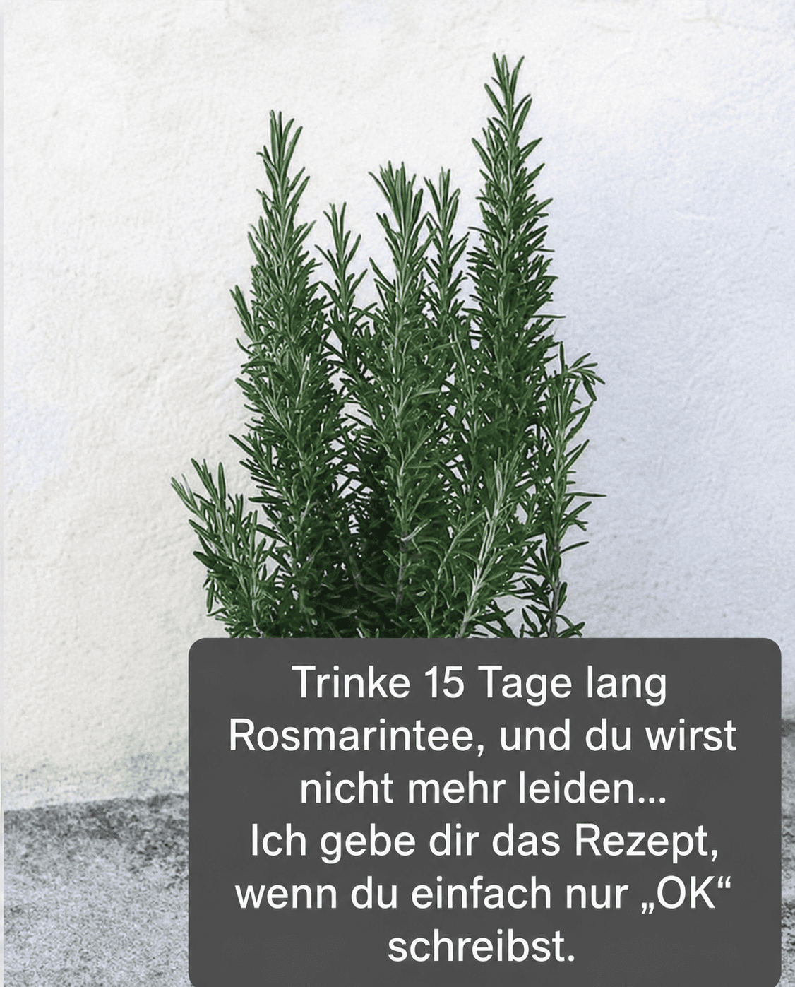 Es wird als natürliches Morphin bezeichnet, weil es Muskel-, Gelenk- und rheumatische Schmerzen lindert. Um weiterhin meine Rezepte zu erhalten, sagen Sie einfach: „Danke!“