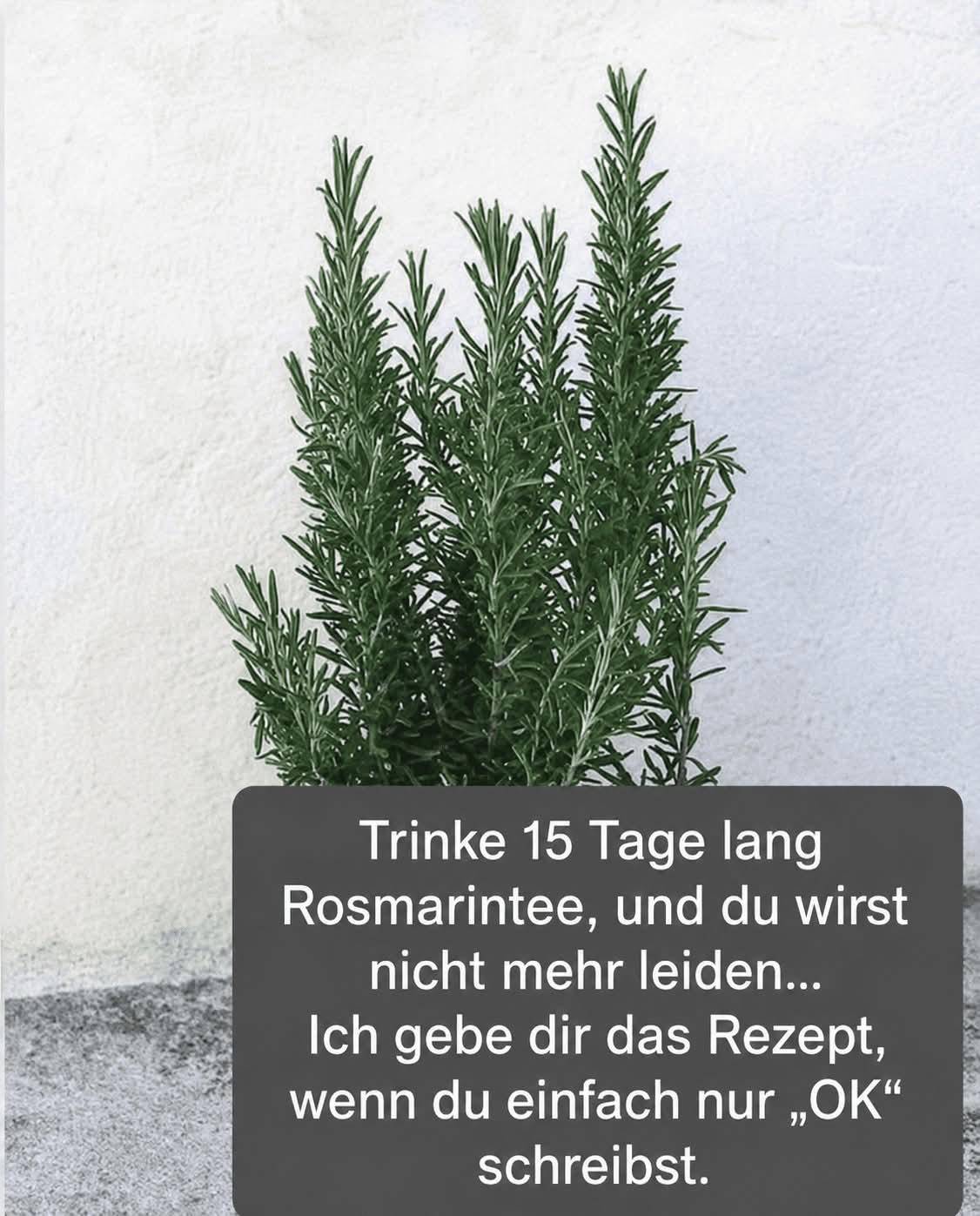 Es wird als natürliches Morphin bezeichnet, weil es Muskel-, Gelenk- und rheumatische Schmerzen lindert. Um weiterhin meine Rezepte zu erhalten, sagen Sie einfach: „Danke!“